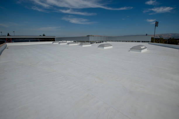 Best EPDM Roofing  in Menomonie, WI